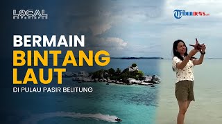 Main Bareng Bintang Laut saat Berwisata ke Pulau Pasir Belitung