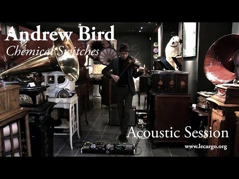 Chemical Switches - Andrew Bird