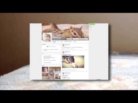 Dieses Streifenhörnchen wird Sie gähnen lassen