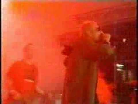 Dub Pistols-Unique Freak Live