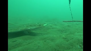 Морская рыбалка в севастополе 2020 осень