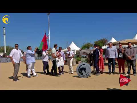 2 nd place, : N.39 D AJAYEB - MENTON 2017 - Junior Female Championship (Class 12)