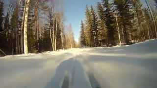 Résumé d'un semestre ERASMUS à Lulea (Suède)