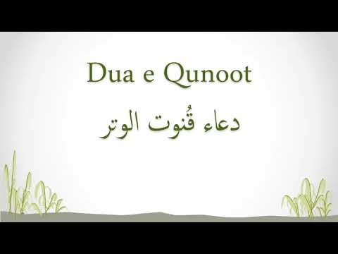 Memorization of Qura'n for Beginners (Kids) - Dua Qunoot | Learn Dua Qunoot
