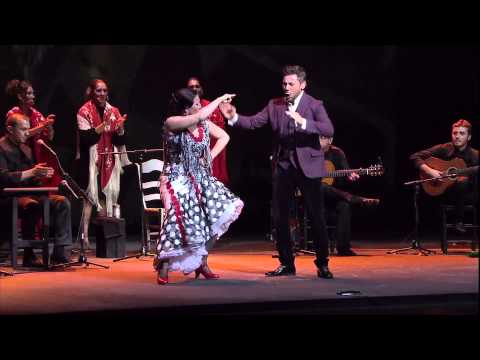 download lagu mp3 mp4 Triana Miguel Poveda, download mp3 Triana Miguel Poveda free download, download mp3 Triana Miguel Poveda