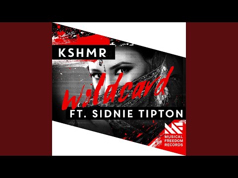 Wildcard (feat. Sidnie Tipton) (Extended Mix)