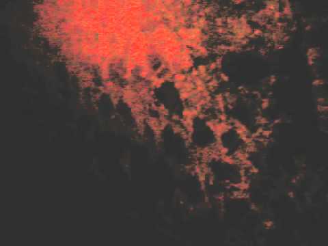 At the Cape Coast Slave Dungeon in Ghana