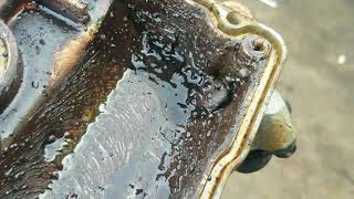 How to Clean, Prep, and Install a Valve Cover Gasket, Quick and Easy
