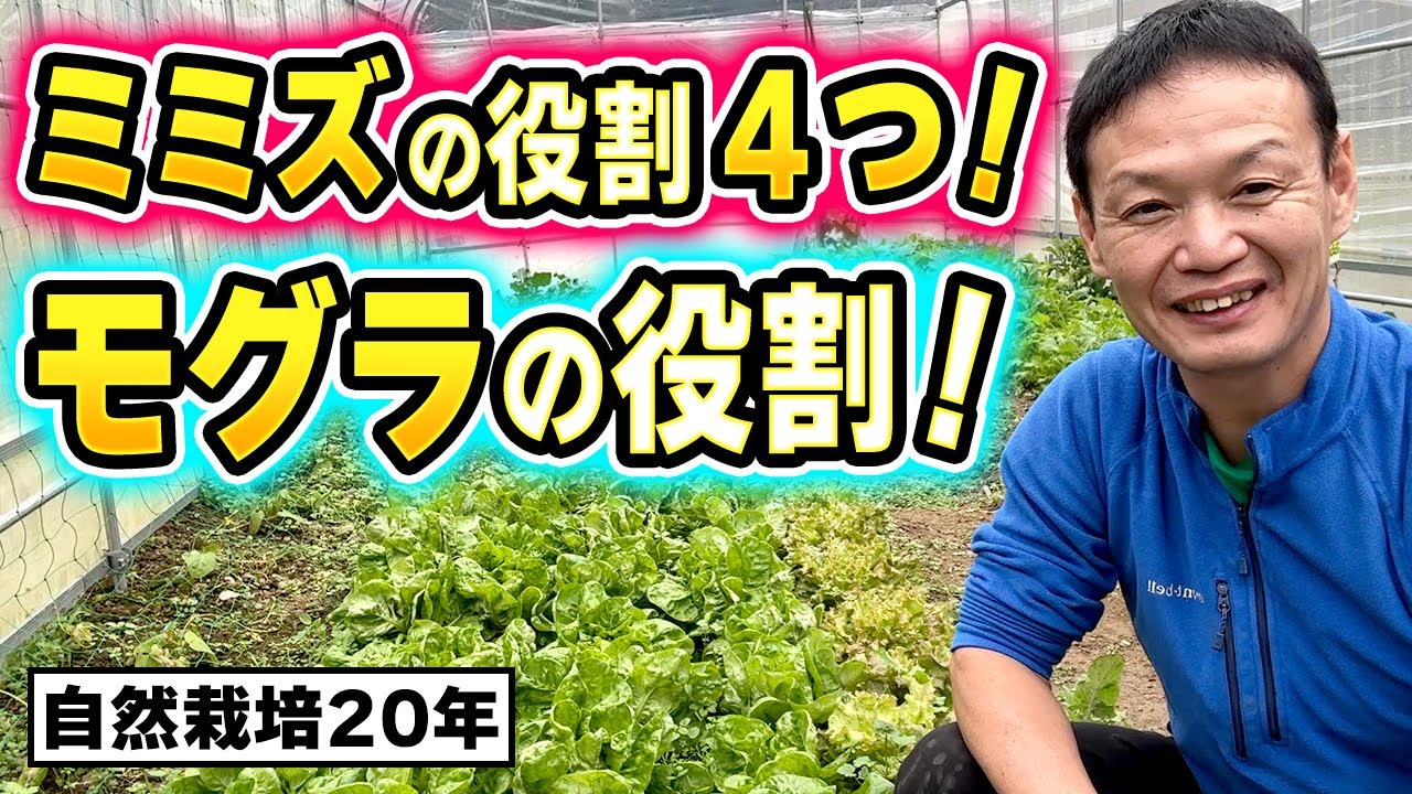 ミミズとモグラが教える土の状態