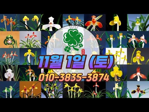 유튜브 썸네일