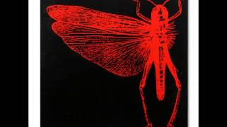 The Locust - File Under 'Softcore Seizures'