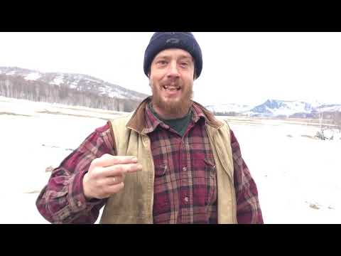 Две парадигмы богатства Фин Уп 10 из