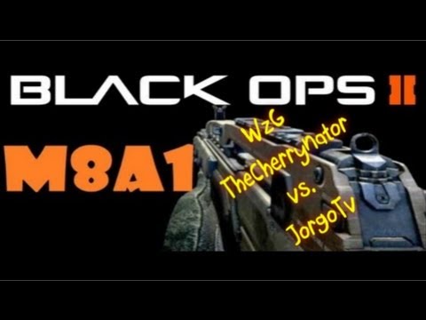 [#5] WzG - Lach,- und Sachgeschichten mit Cherry und dem Jorgo - Heute: Dummheit !