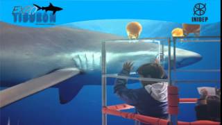 DIA 3 Expo Tiburon151