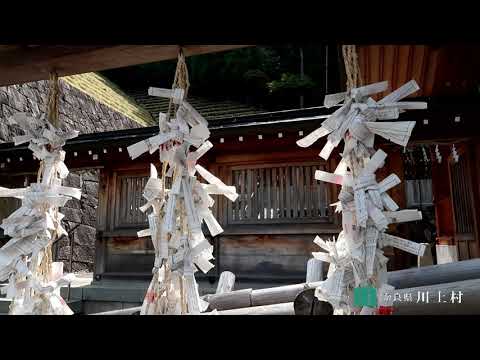 吉野川（紀の川）源流に位置する奈良県川上村の自然や文化、歴史の魅力をお届けしています。