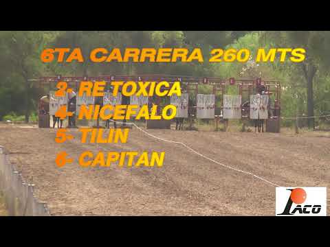 TILIN   DON NICO 16 1 22