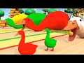 Lagu Potong Bebek Angsa Bebek Lucu Kucing Lucu Beruang Anjing Dan Orang Utan