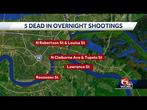 McMain student one of five dead in homicides overnight in New Orleans