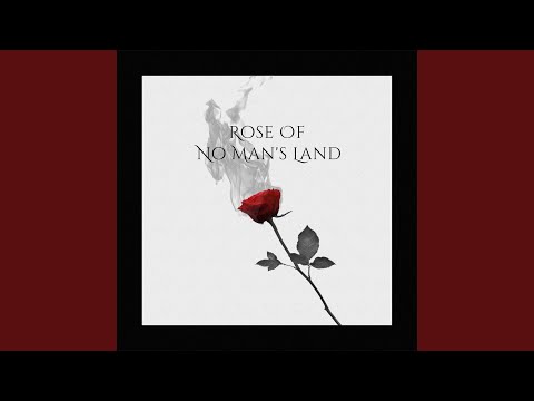无人区玫瑰