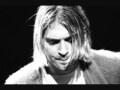Nirvana - Smells Like Teen Spirit isolated vocal ...