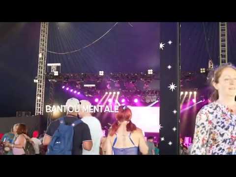 Number 7 | "Wasps Everywhere" AKA WOMAD 2019