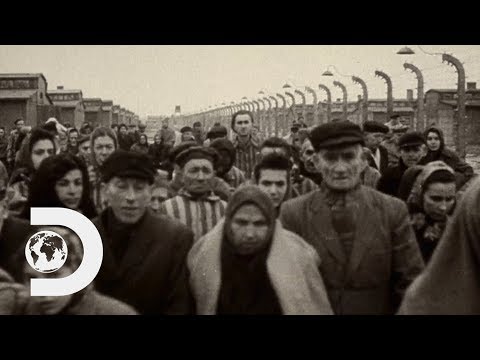 How Trains Were Central In The Operation Of The Holocaust | How Trains Changed The World