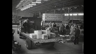 Download lagu Beeld van Nederland deel 3 1955 - 1960 mp3