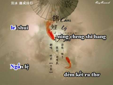 Cẩm Lý Sao (锦鲤抄) [Karaoke] Lời việt Version Tone Nam