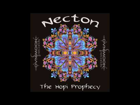 02: Necton -  Funky Monkey  (Nynski Mix)