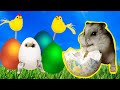 Easter Egg Hamster Hunter 🐹🥚