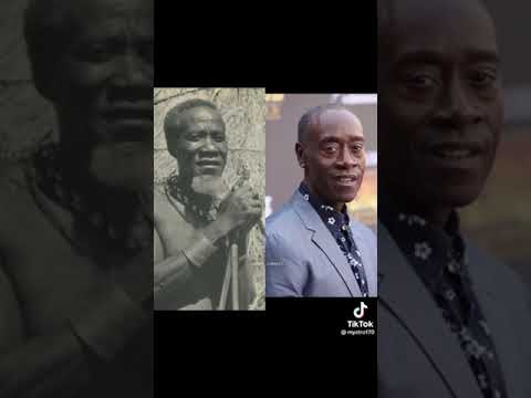 BTB WINNING SOLID TROLL MO3 SECTOR 🦍🚩