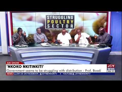 Flagship or Flop? The Growing Scrutiny Over Nkoko Nkitinkiti | Matters Arising