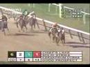 2006 Sleepy Hollow Stakes