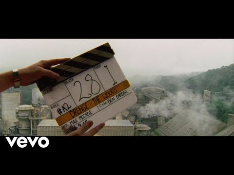 The Woods video