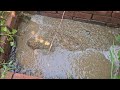 SEWAGE SLUG