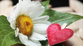 Stefan Oberhoff - Merci das es dich gibt