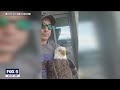 Bald eagle shot and killed