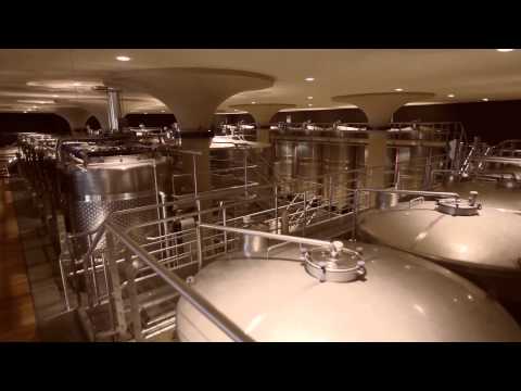 Cecchi Family Estates