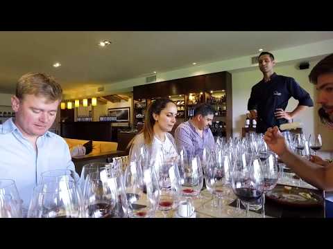 Experiencia inmendoza en Finca Decero