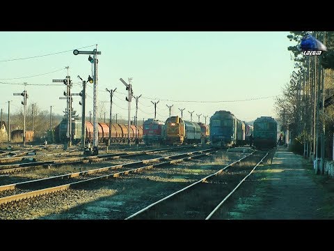 Trenuri & Activitate Feroviară/Trains & Rail Activity in Gara Valea lui Mihai Station - 06 Feb 2019