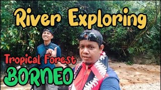 Download lagu River Exploring !!! Menelusuri sungai ditengah Hutan Kalimantan - Tropical Forest Borneo mp3