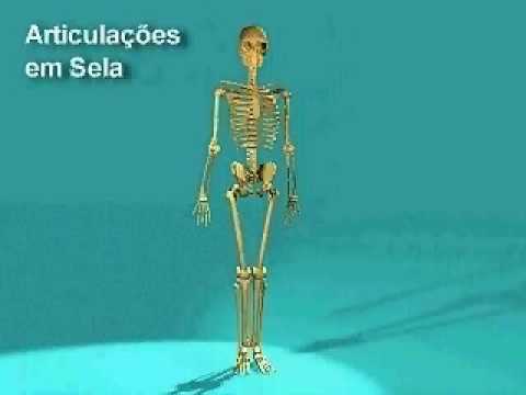 Imagem de Amostra do You Tube