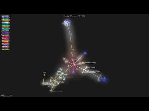 RIP-Comm/sossoldi - Gource visualisation