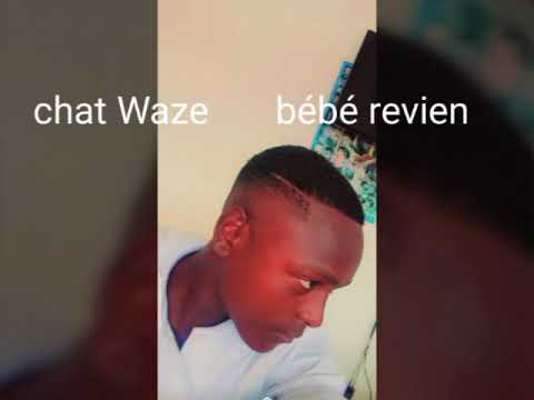 chat Waze bébé revien