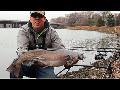 Bank fishing for catfish - How to catch catfish in a river - Winter catfishing
