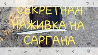 На что ловить саргана в балтийском море