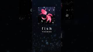 - #TOOBOE #fish#アートアクアリウム#shorts