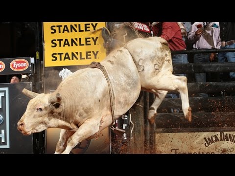 WRECK: Bullet Proof slams Sean Willingham