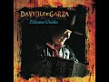 David Lee Garza Y Los Musicales - Contigo Amor