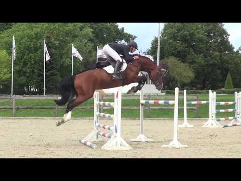 Holsteiner Elite-Reitpferdeauktion 2019 | Nr. 106 - Cubano v. Casall-Acord II